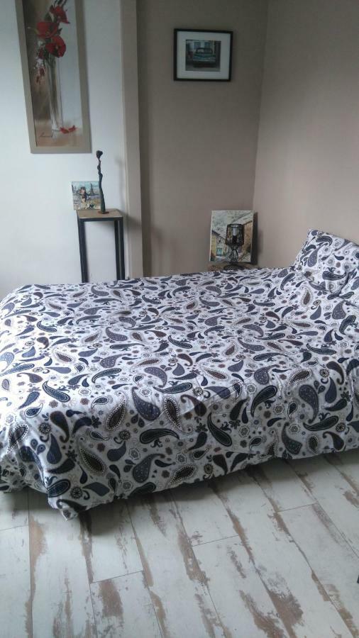 Chambre Privee Chez Un Particulier Сен-Себастьян-Сюр-Луар Экстерьер фото